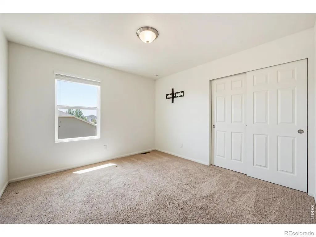 3611 Daylily Street Wellington CO 80549