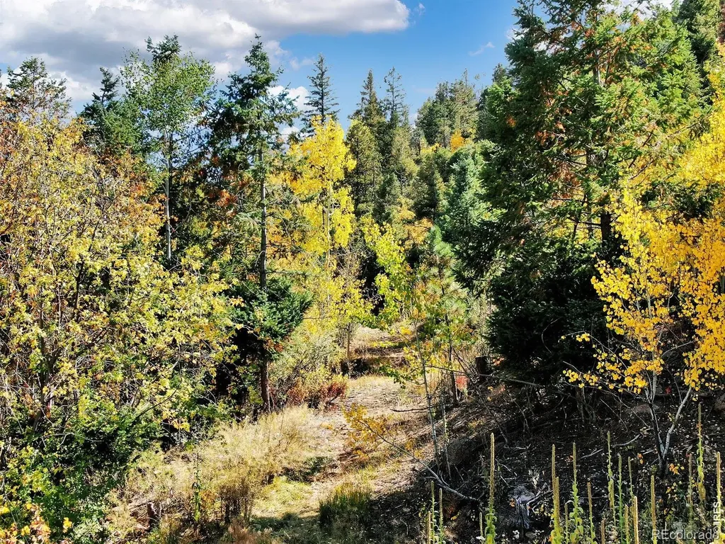 5265 Kulsa Road Cascade CO 80809