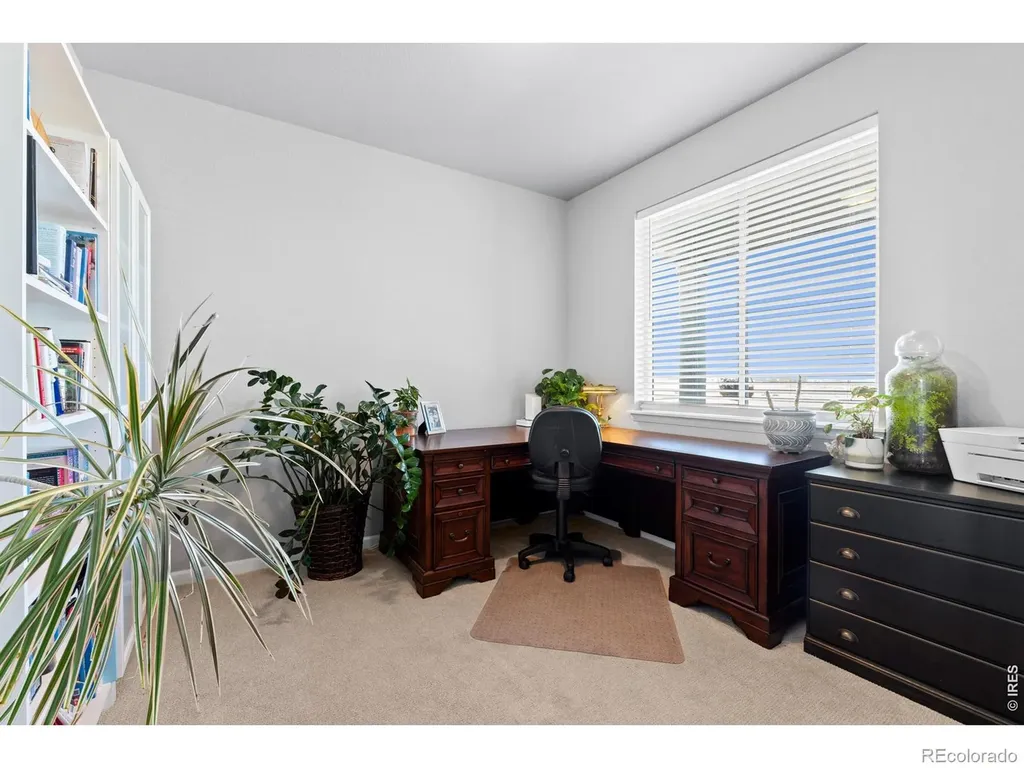 709 Hillspire Drive Windsor CO 80550