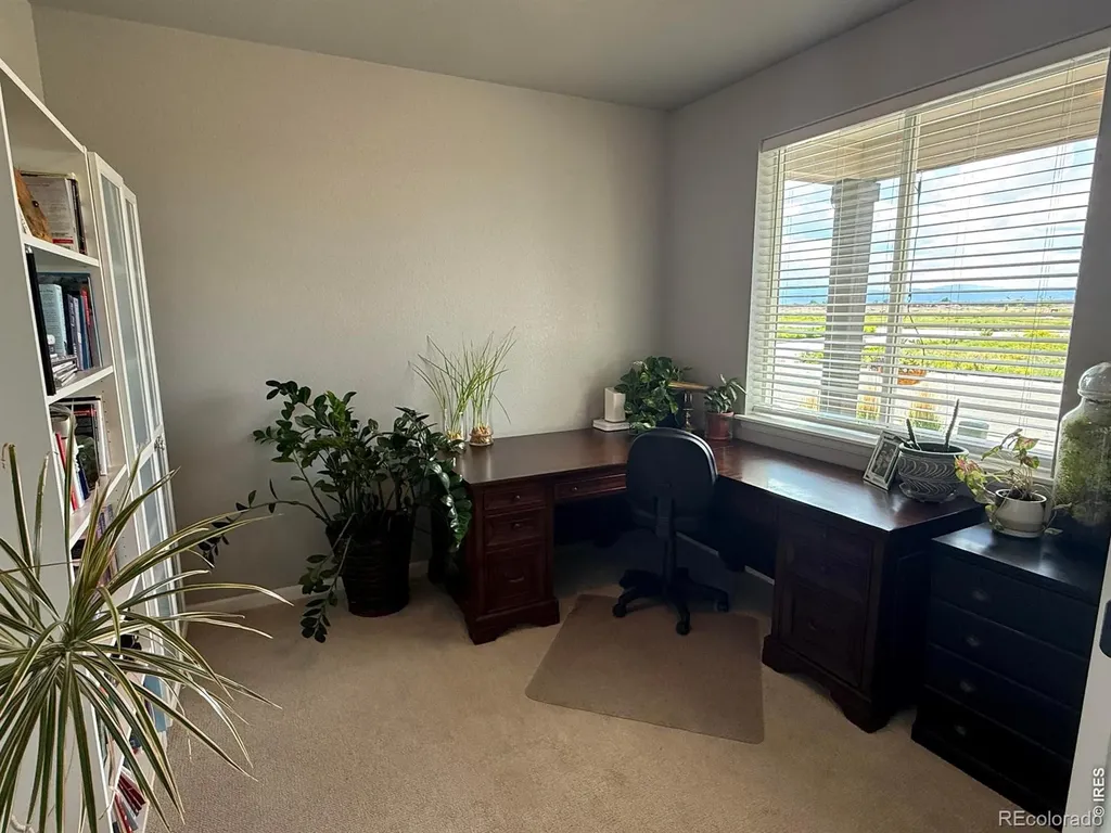 709 Hillspire Drive Windsor CO 80550