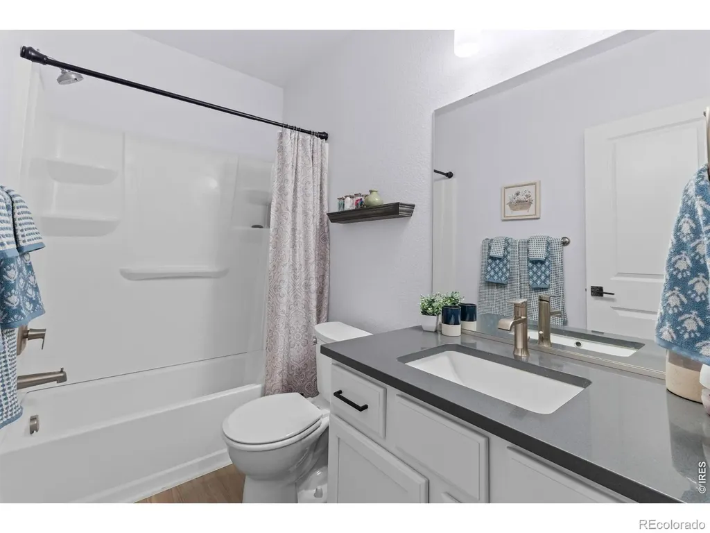 709 Hillspire Drive Windsor CO 80550