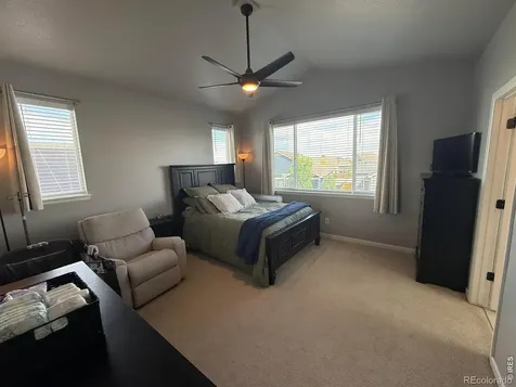 709 Hillspire Drive Windsor CO 80550
