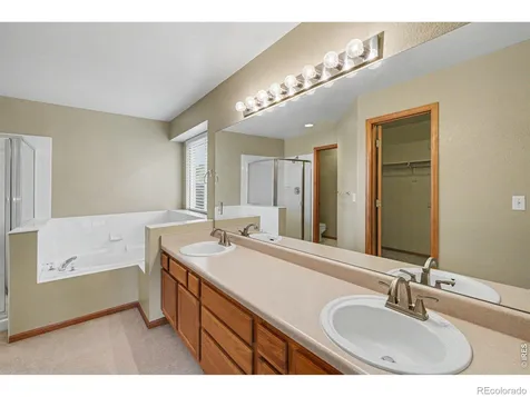 123 Rock Bridge Court Windsor CO 80550