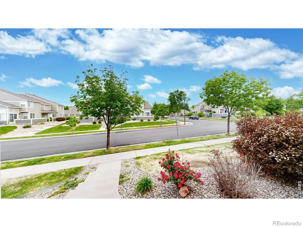 6603 Antigua Drive Fort Collins CO 80525