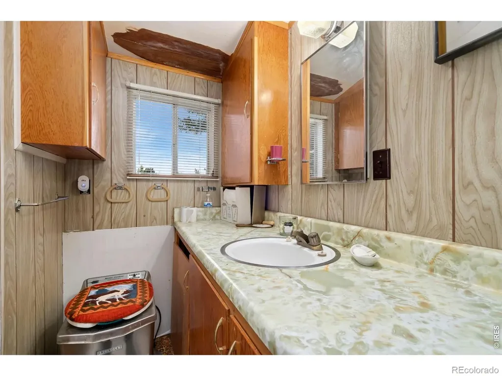 983 Ramona Drive Red Feather Lakes CO 80545