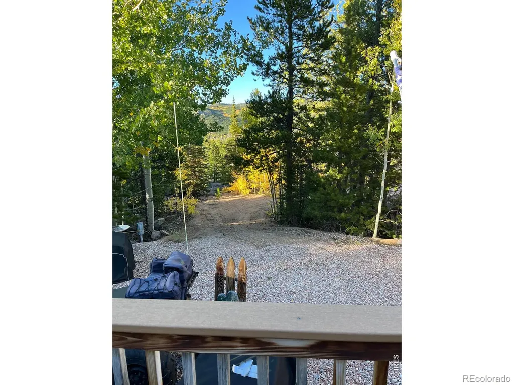 44 Natchez Circle Red Feather Lakes CO 80545