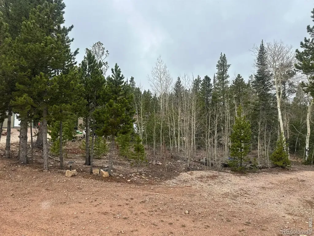 44 Natchez Circle Red Feather Lakes CO 80545