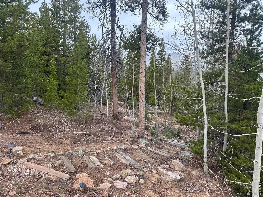 44 Natchez Circle Red Feather Lakes CO 80545
