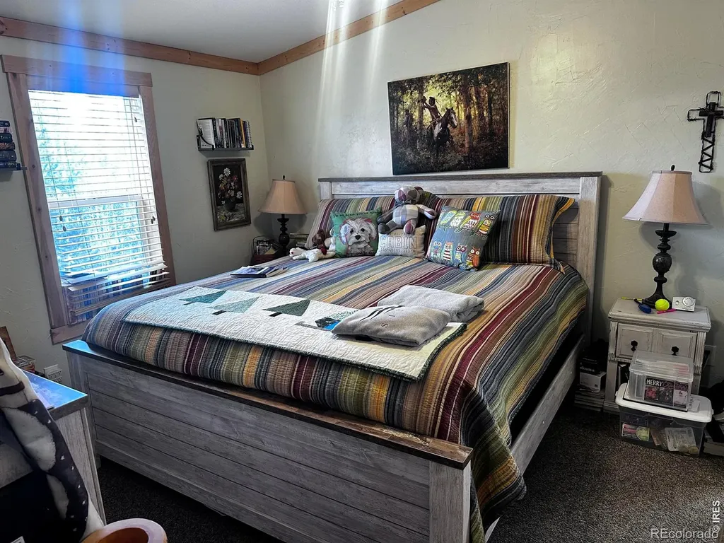 44 Natchez Circle Red Feather Lakes CO 80545