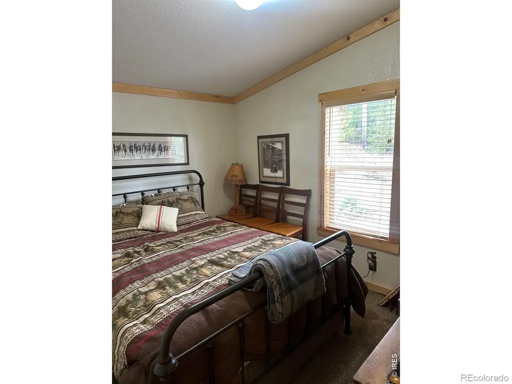 44 Natchez Circle Red Feather Lakes CO 80545