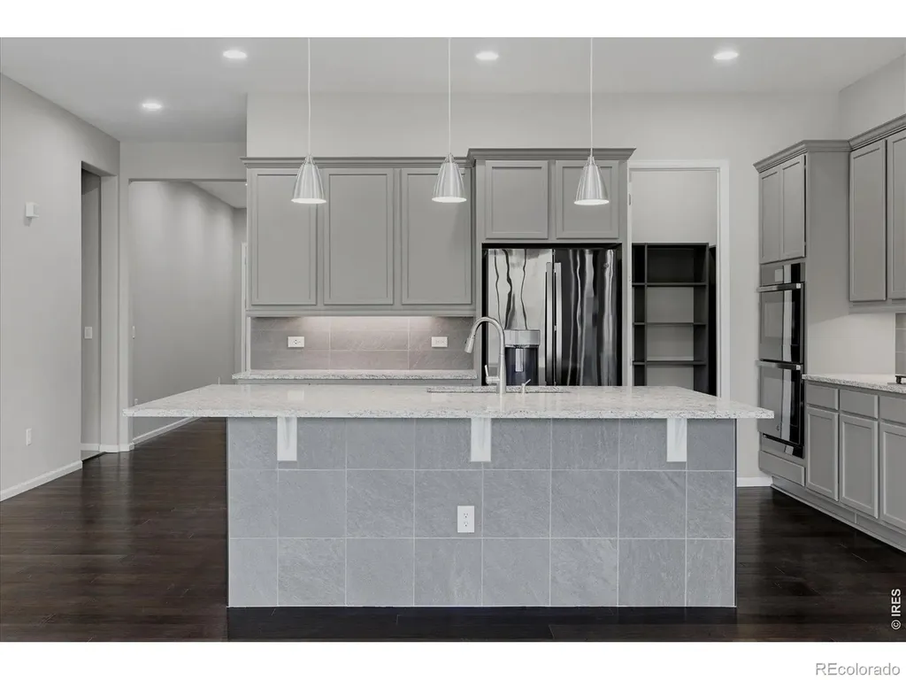 6725 Mentha Drive Castle Rock CO 80108