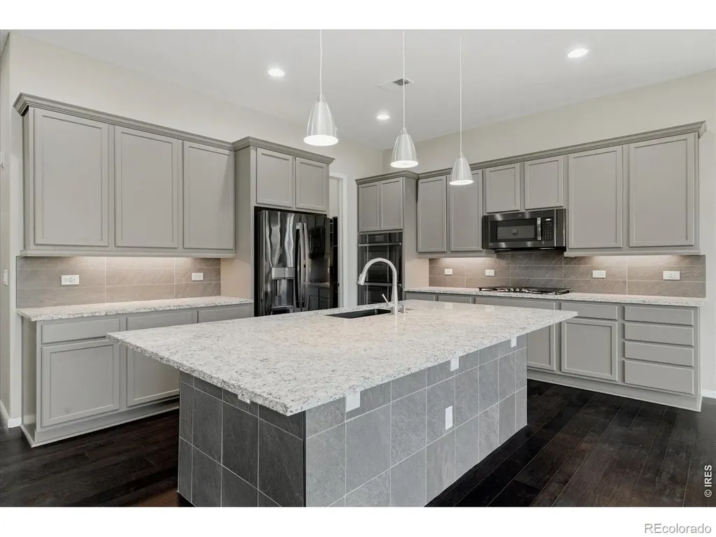 6725 Mentha Drive Castle Rock CO 80108