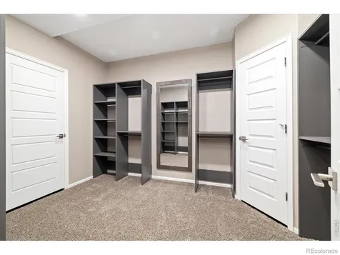 6725 Mentha Drive Castle Rock CO 80108