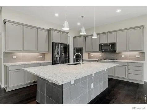 6725 Mentha Drive Castle Rock CO 80108
