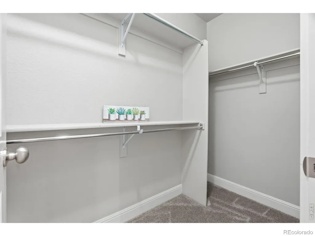8446 Annapolis Drive Windsor CO 80528