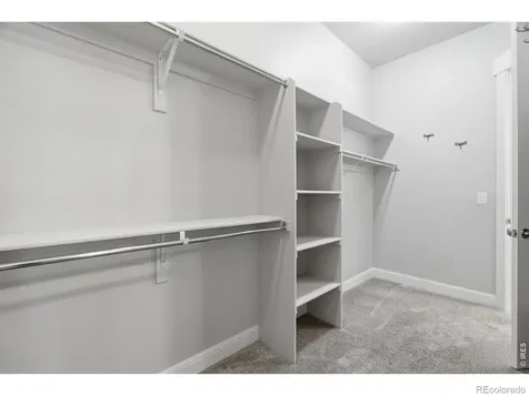 8446 Annapolis Drive Windsor CO 80528