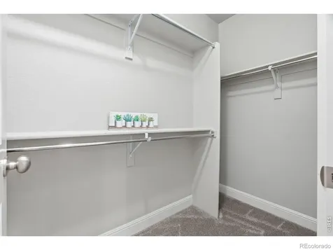 8446 Annapolis Drive Windsor CO 80528