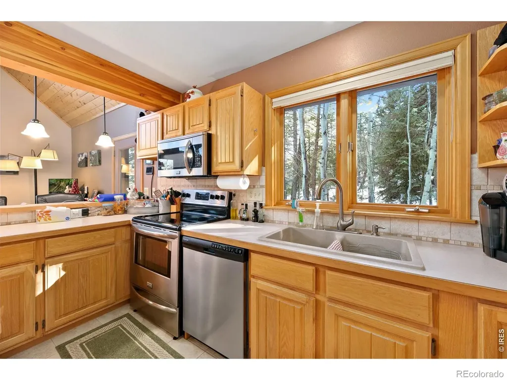 1655 Black Squirrel Drive Estes Park CO 80517
