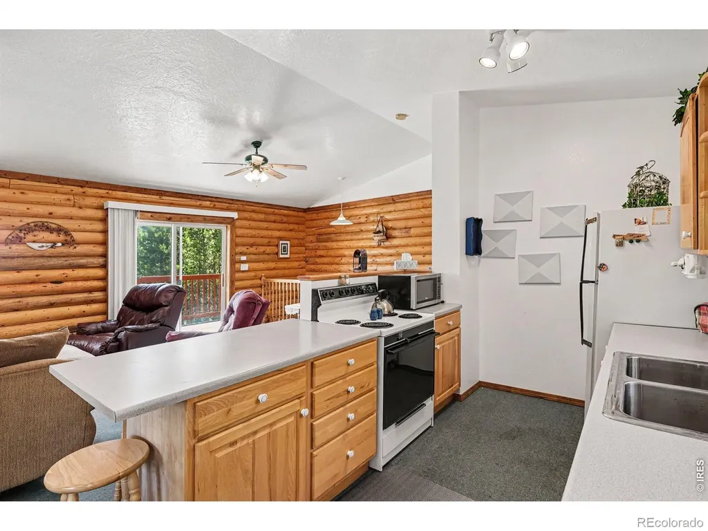 321 Shasta Way Red Feather Lakes CO 80545