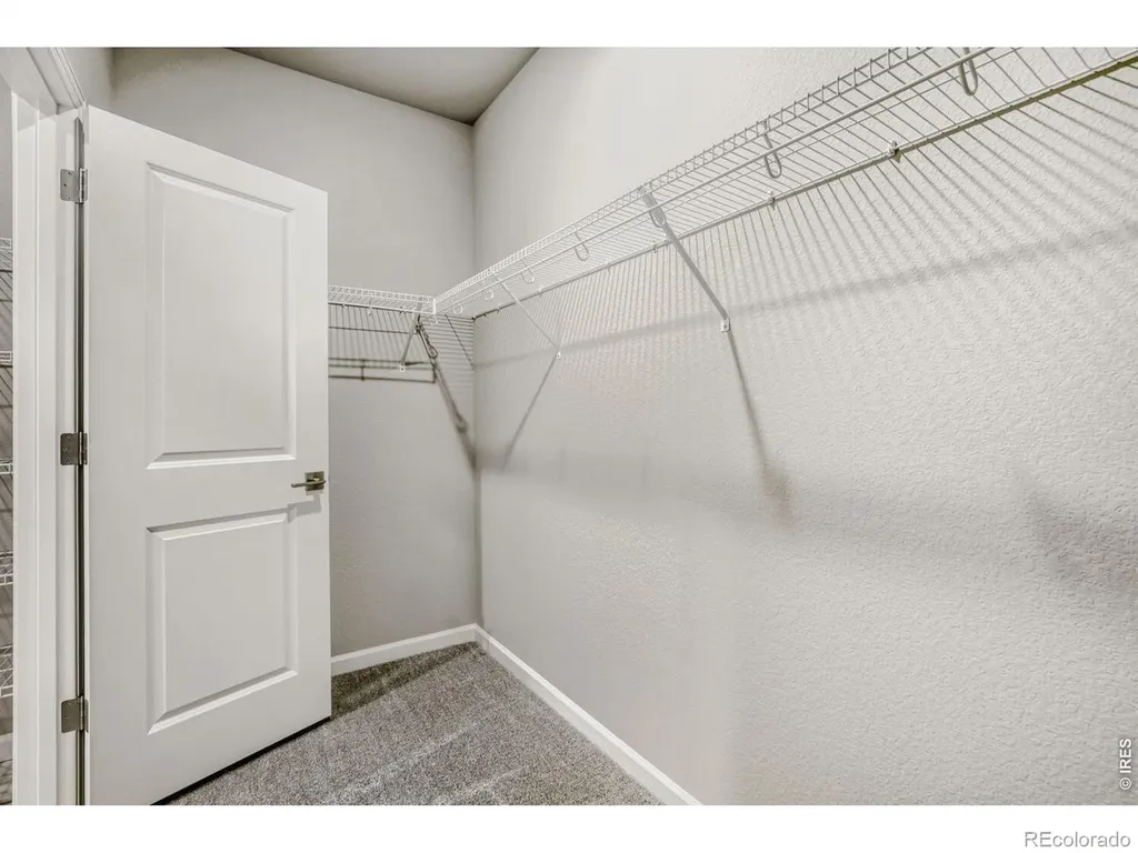 648 Noola Street Windsor CO 80550