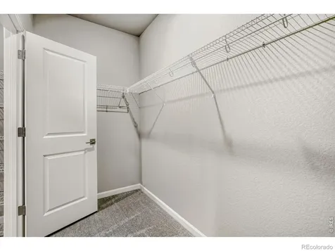 648 Noola Street Windsor CO 80550