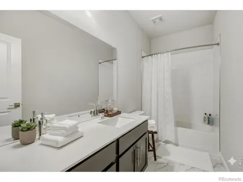 648 Noola Street Windsor CO 80550