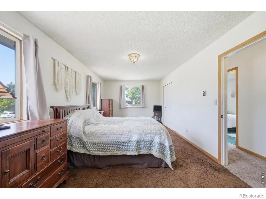 804 Redwood Court Bellvue CO 80512