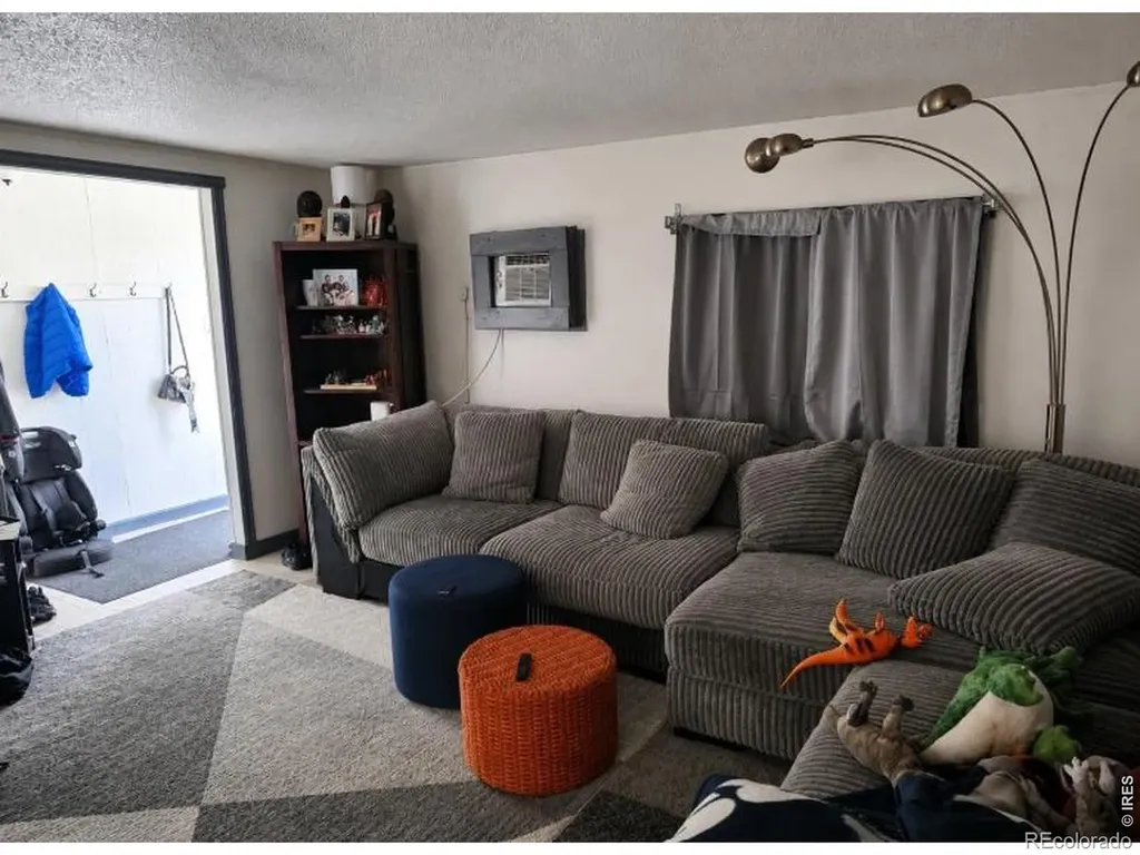 9024 Orleans Street Denver CO 80260
