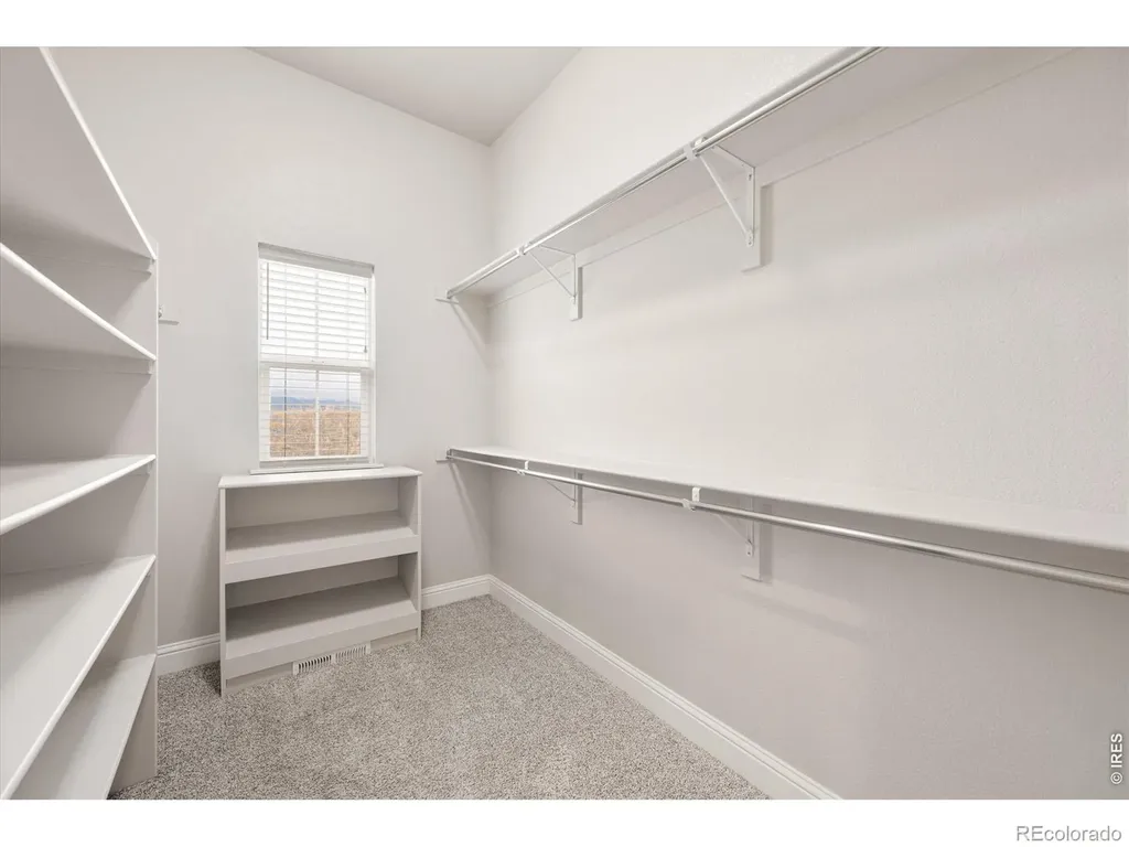 2611 Prairie Flax Street Berthoud CO 80513