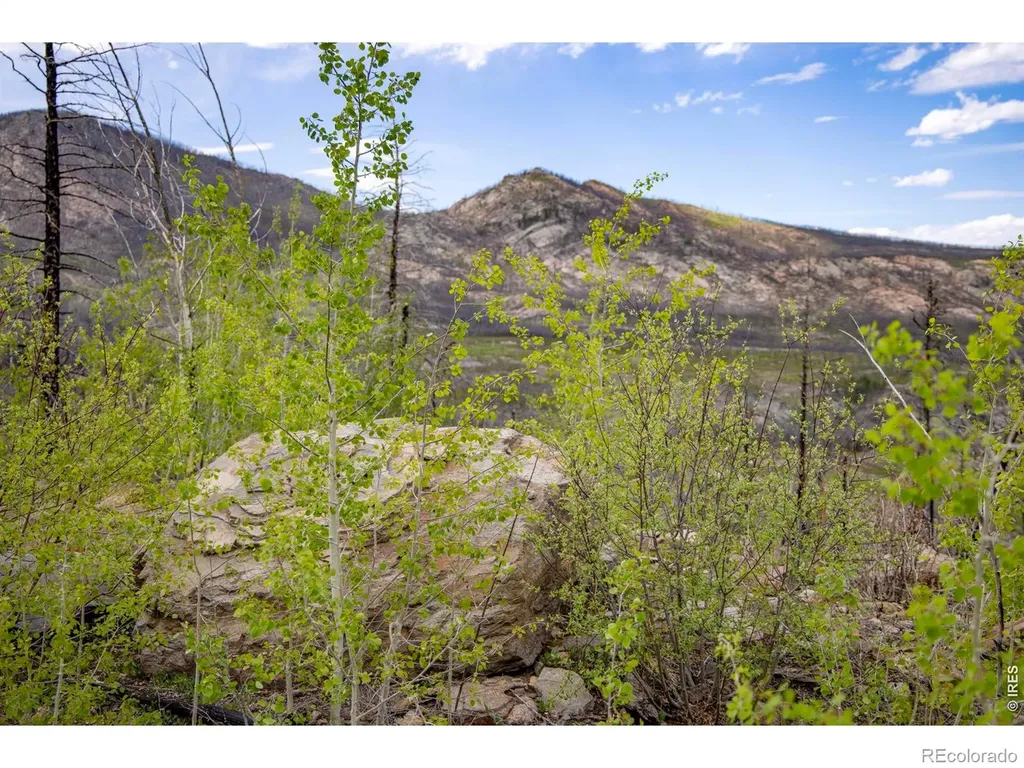 805 Meadows Drive Drake CO 80515