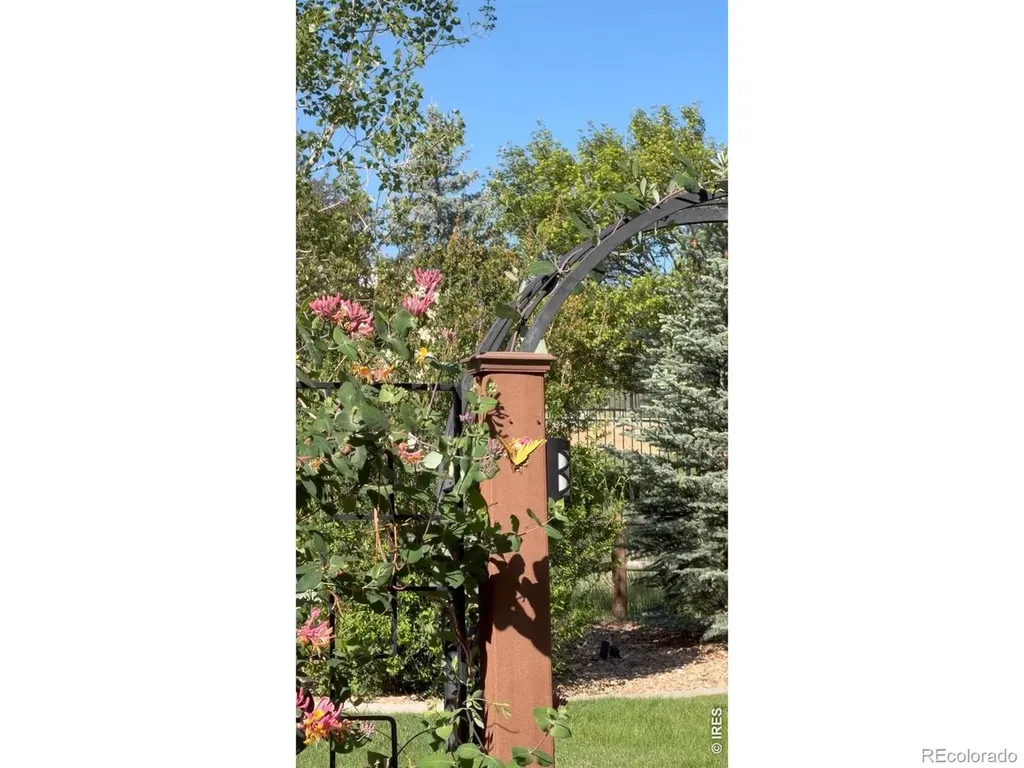 6421 Jordan Drive Loveland CO 80537