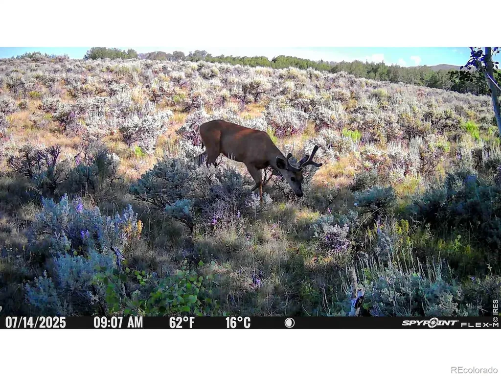 48686 Highway 14 Walden CO 80480