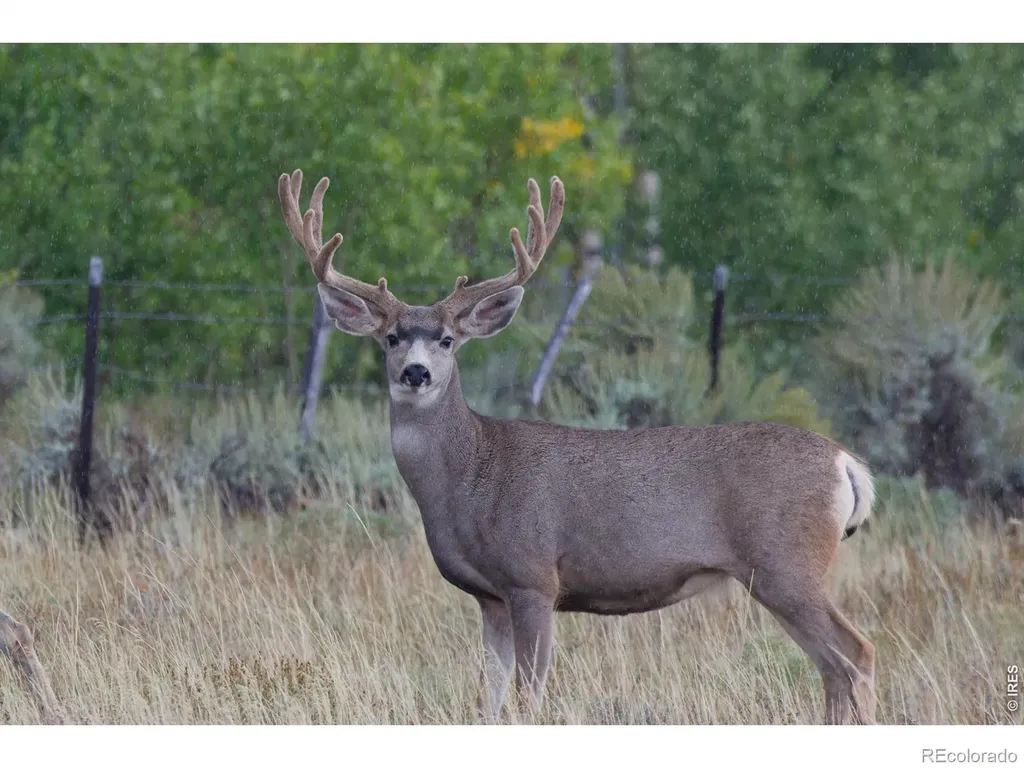 48686 Highway 14 Walden CO 80480