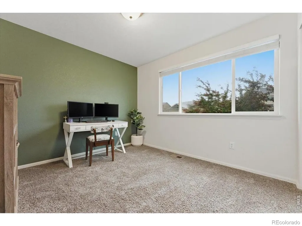 323 Torreys Drive Severance CO 80550