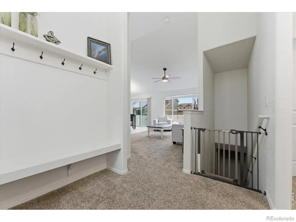 323 Torreys Drive Severance CO 80550