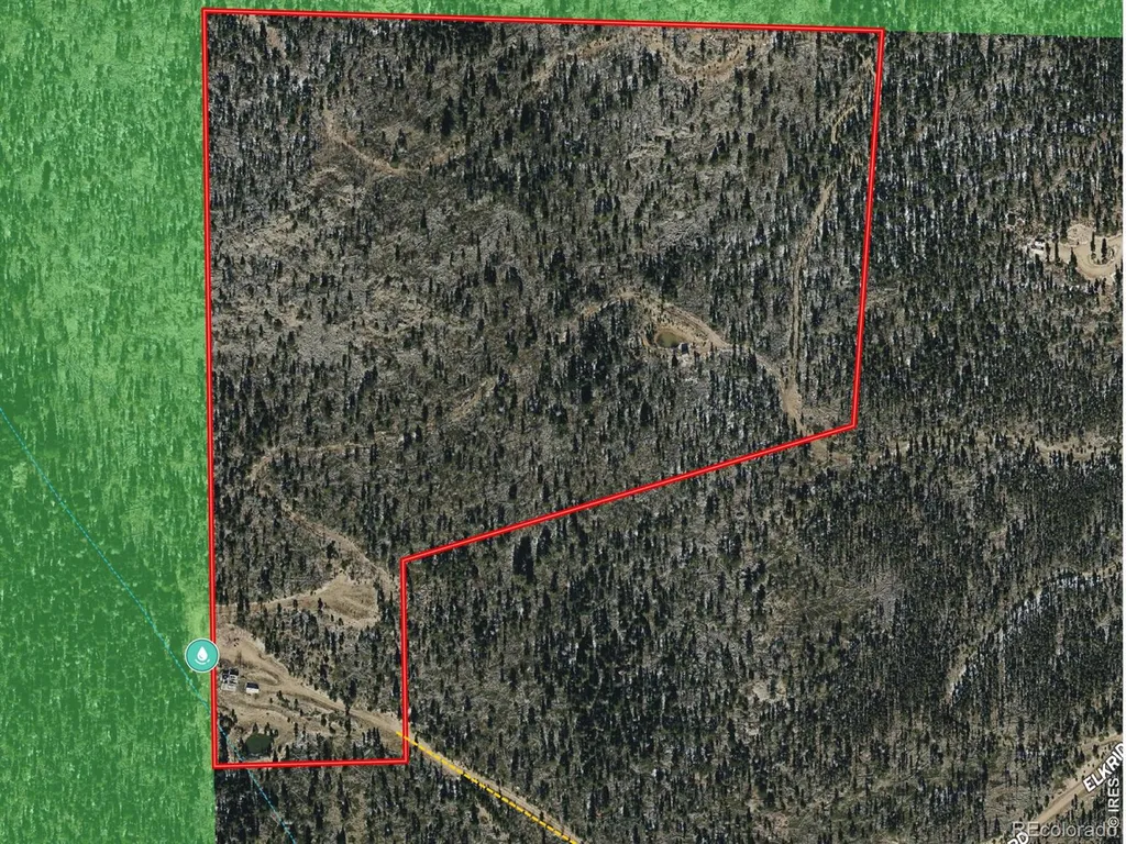 540 Elkridge Road Red Feather Lakes CO 80545