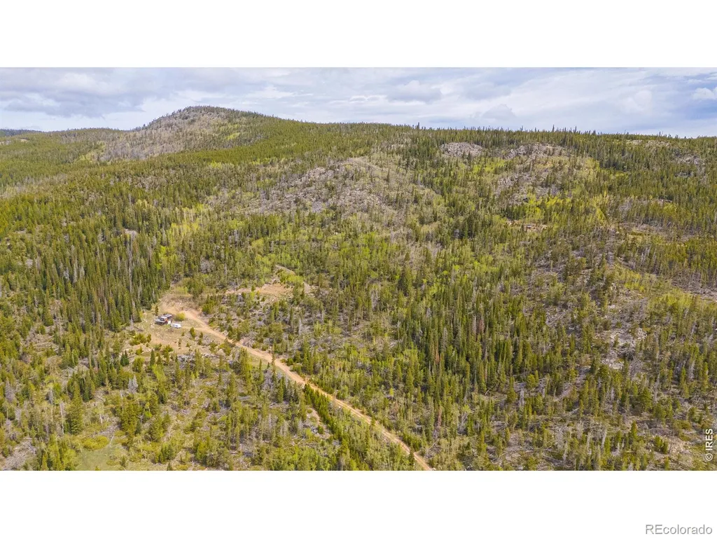 540 Elkridge Road Red Feather Lakes CO 80545