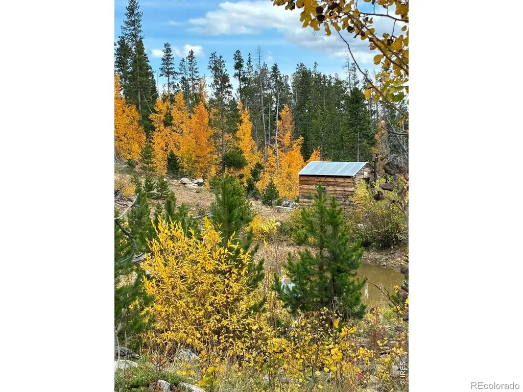 540 Elkridge Road Red Feather Lakes CO 80545