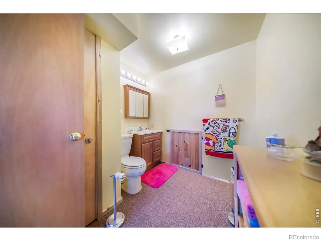 672 Garfield Street Walden CO 80480
