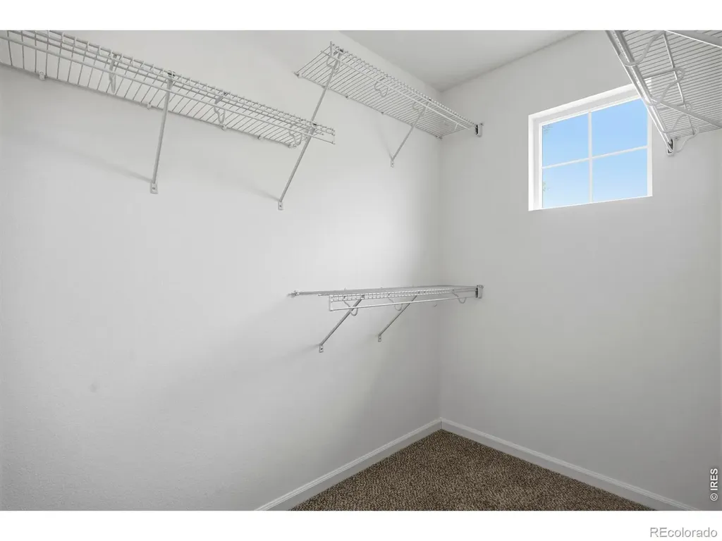153 Brass Court Loveland CO 80537