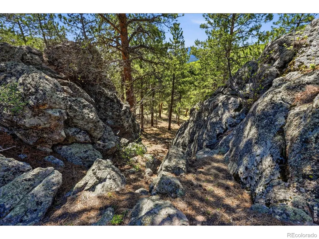 76 Cairn Court Drake CO 80515