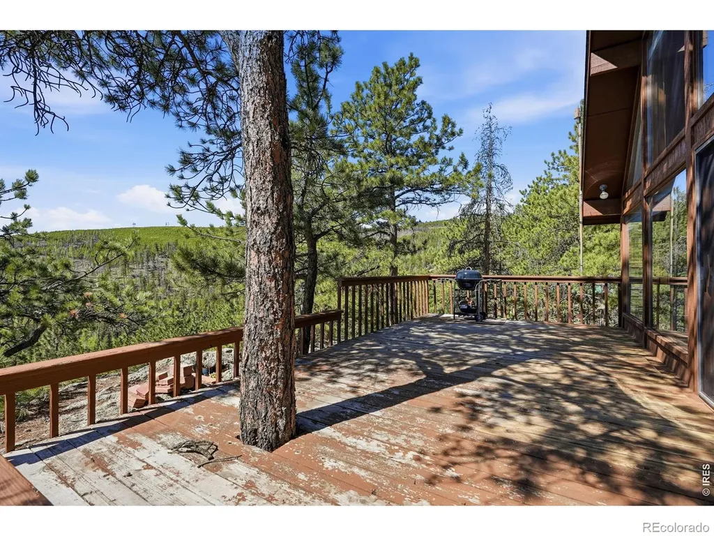 76 Cairn Court Drake CO 80515