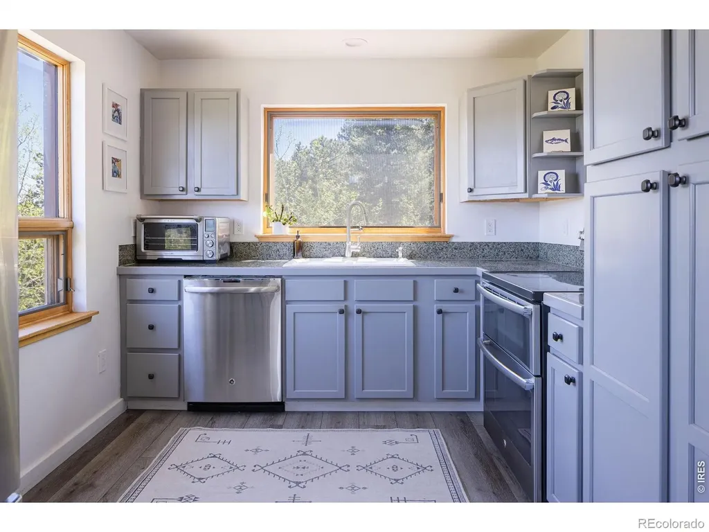 103 Last Chance Court Nederland CO 80466