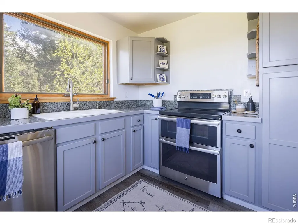 103 Last Chance Court Nederland CO 80466