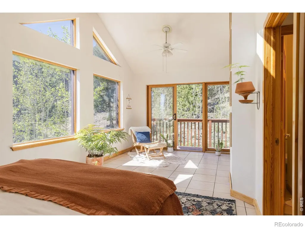 103 Last Chance Court Nederland CO 80466