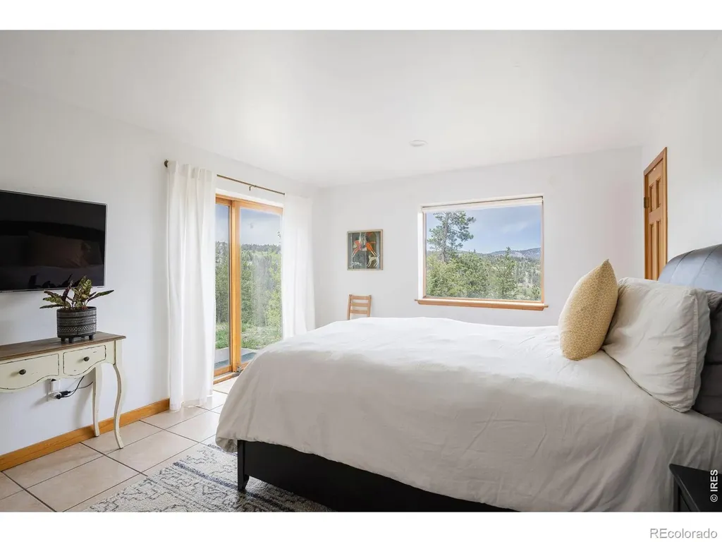 103 Last Chance Court Nederland CO 80466