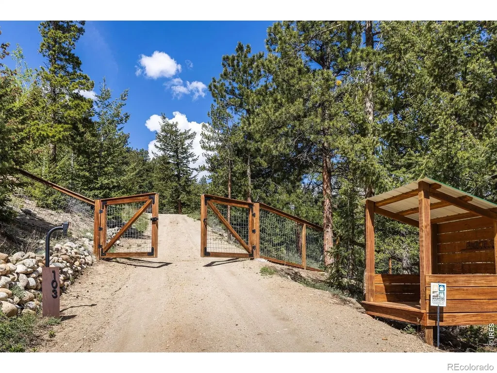 103 Last Chance Court Nederland CO 80466