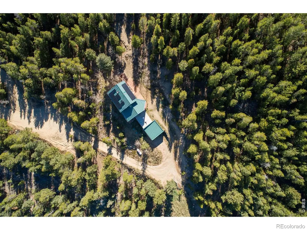 103 Last Chance Court Nederland CO 80466