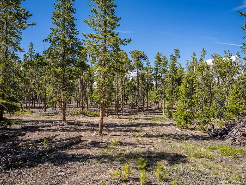 297 Manso Way Red Feather Lakes CO 80545