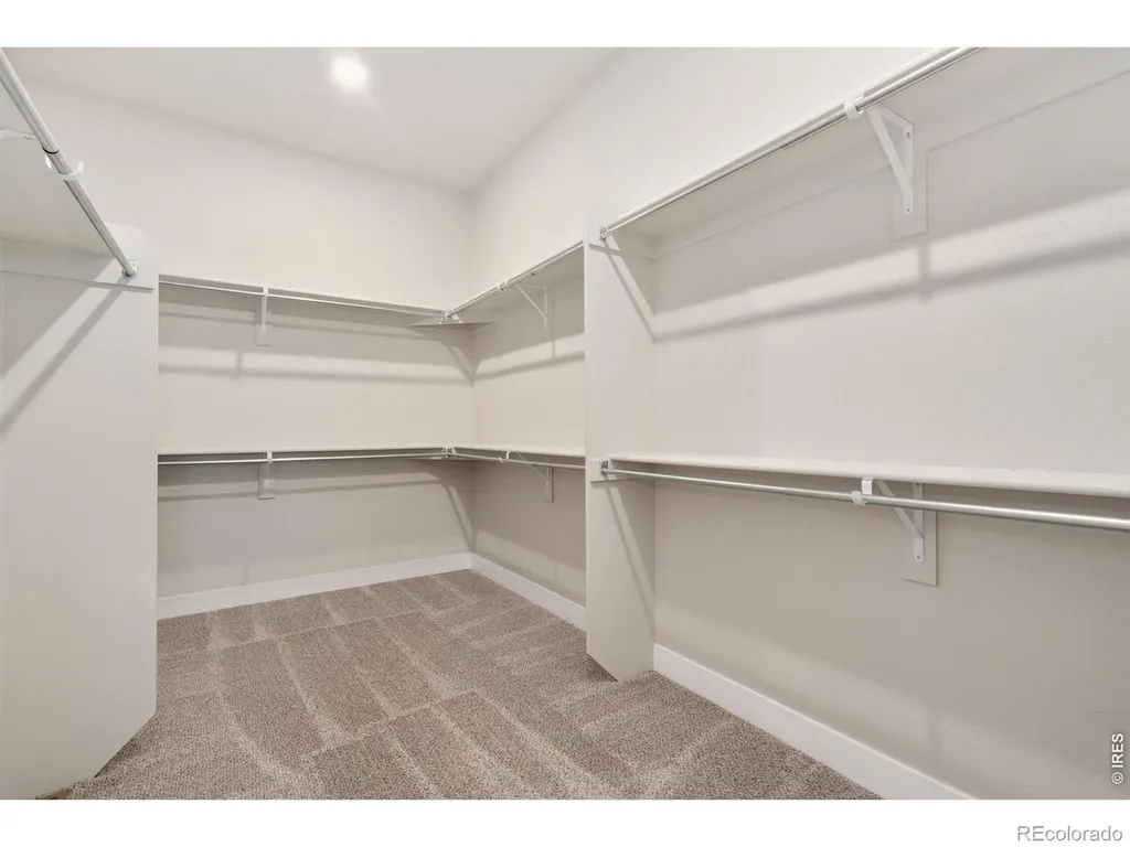 1232 Kitchel Lake Parkway Timnath CO 80547